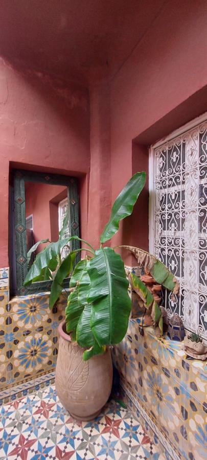 Riad Kainos Marrakesch Exterior foto